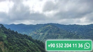 Büyüleyici bir ortam